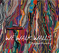 We Walk Walls Cover