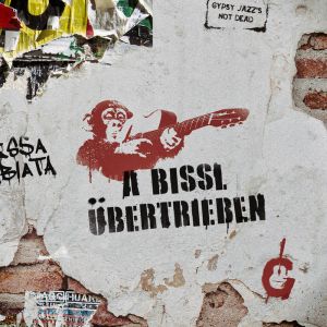 Albumcover A bissl übertrieben