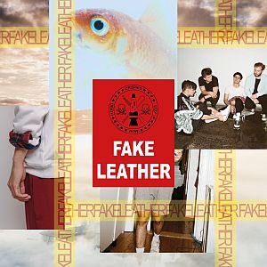 Albumcover Fake Leather