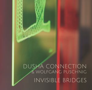 Cover Invisible Bridges