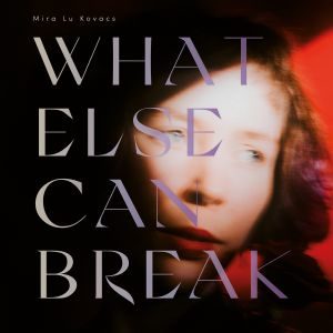 Albumcover What Else Can Break
