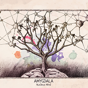 Cover „Amygdala“